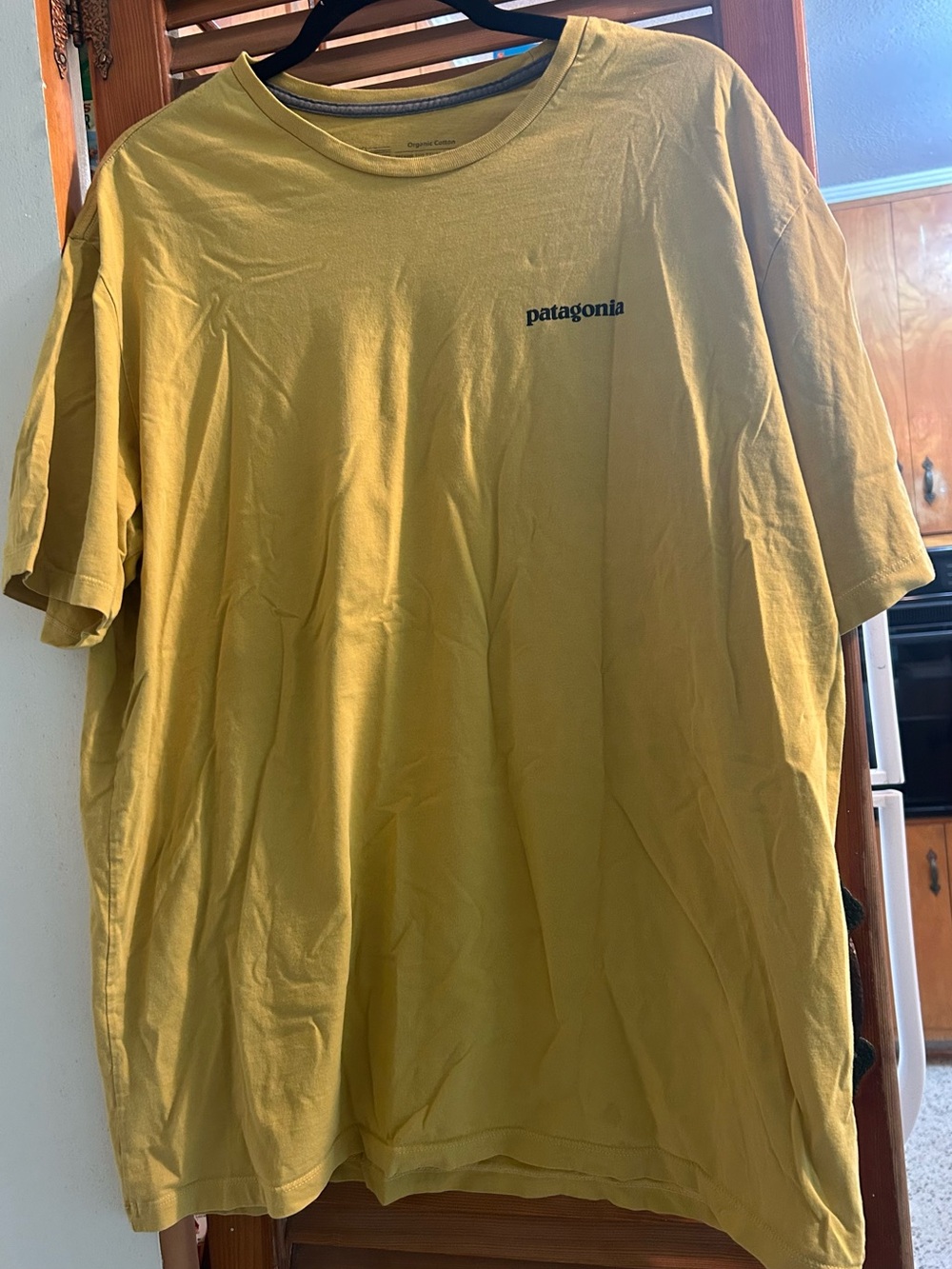 Patagonia Men’s T-Shirt